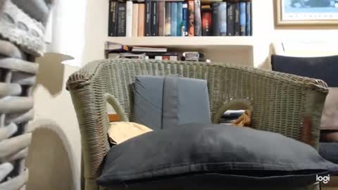 flowerpower622 online show from January 10, 9:09 pm