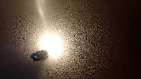 flyyguy69 online show from January 11, 1:39 pm