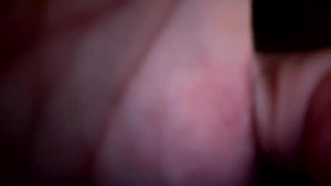 ForbiddenAlpha online show from May 18, 12:53 am