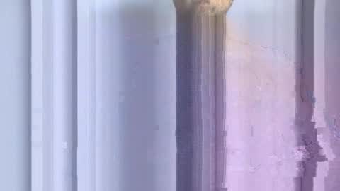 forestdweller22 online show from November 9, 9:28 pm