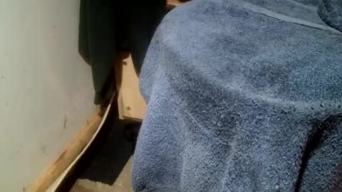 forestnymphpdx online show from January 14, 9:50 am