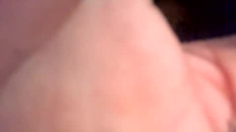 foxrun2 online show from March 6, 11:42 am