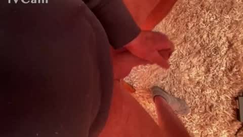 franzleo2903 online show from March 4, 7:38 am