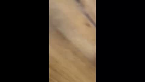 friiinkozzz online show from March 4, 4:26 pm