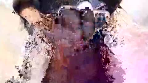 fuckme6801 online show from May 26, 11:38 am