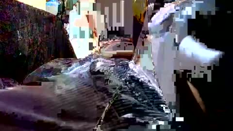 fuckmeallday1975 online show from July 2, 8:08 am