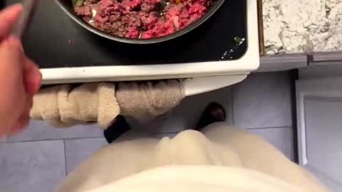 fuhkthisshit online show from December 14, 11:55 pm