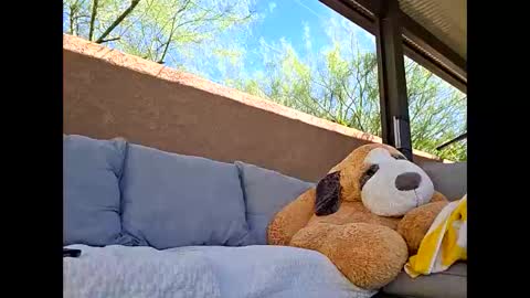 Daniel kim online show from March 10, 8:13 pm