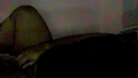 funleaf online show from April 4, 10:22 am