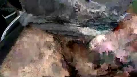 funone8848 online show from November 11, 4:20 pm