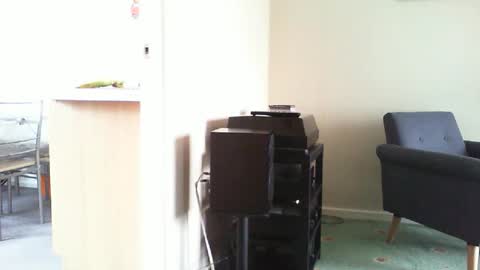 Funslimguy online show from April 12, 2:43 pm