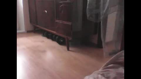 Gamayun online show from March 8, 8:18 am