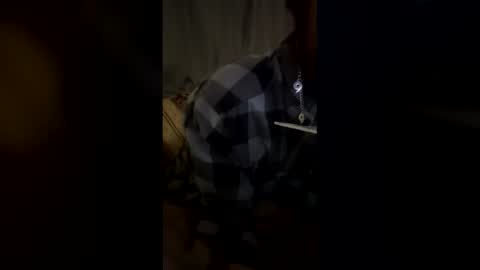 gavjuan online show from January 14, 5:04 am