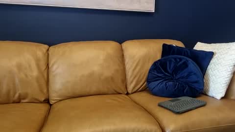 gazzajj72 online show from January 19, 2:10 am