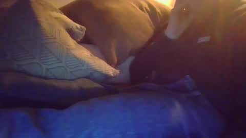 geiljongetje1991 online show from March 29, 12:45 am