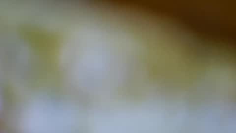 germanandy71 online show from November 17, 11:57 am