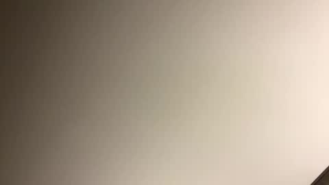 gingercockring online show from March 9, 7:12 am