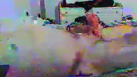 girona69 online show from November 13, 7:11 am