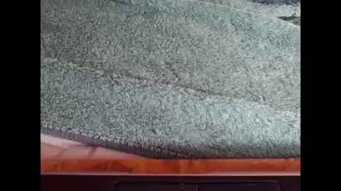 goodboy online show from December 8, 3:45 pm