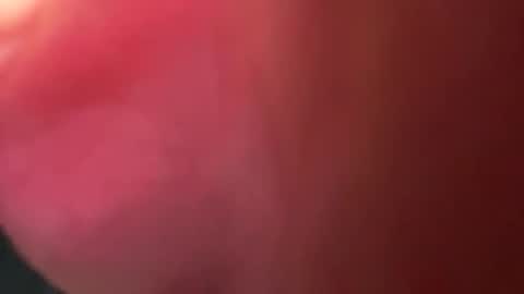 Good Dick online show from November 25, 10:41 pm