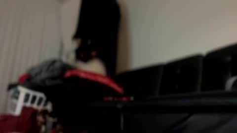 Good Dick online show from March 8, 12:20 pm