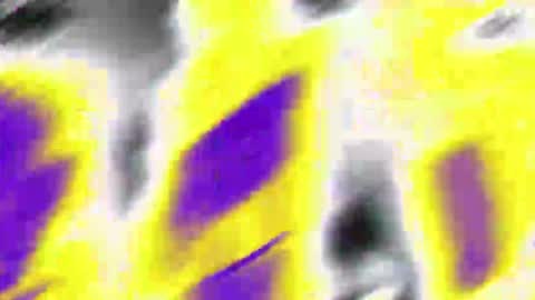        online show from October 22, 7:00 am