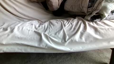 watch me stroke online show from April 12, 12:42 pm