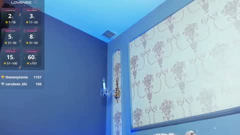 Snapshot of grantblake chatting on February 6, 9:32 am Grant online show from February 6, 9:32 am