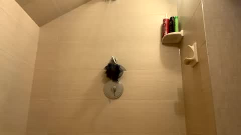 Perfectlyaveragesavage online show from December 31, 1:30 pm