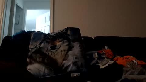 guts_san online show from November 30, 11:01 pm