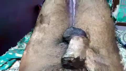 hairy_men01 online show from August 8, 1:26 am