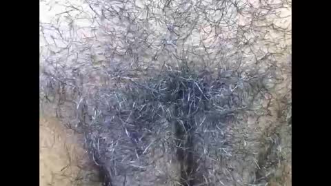 hairygirl83 online show from May 6, 3:07 pm