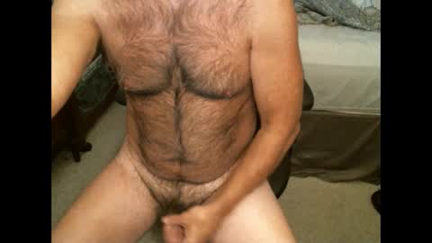 Snapshot of hairypecsguy chatting on December 18, 7:08 pm Hairy pecs online show from December 18, 7:08 pm