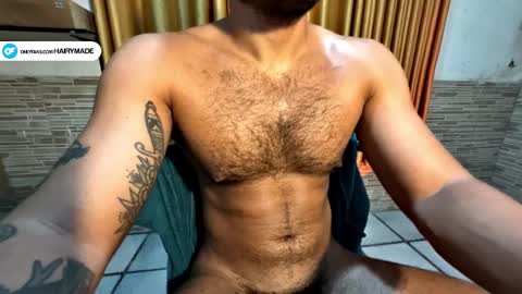 Snapshot of hairyshort chatting on January 15, 3:00 am hairy and short online show from January 15, 3:00 am
