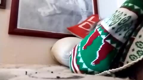 Marty online show from January 18, 8:51 pm