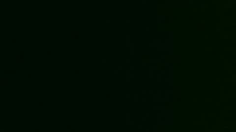 Bia online show from November 17, 7:44 am