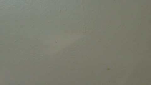 hamhead71 online show from February 7, 1:36 am