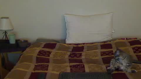 hammerthatthang73 online show from October 14, 8:39 am