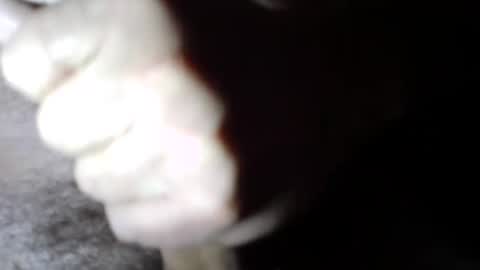 hammertime981 online show from January 3, 1:46 pm