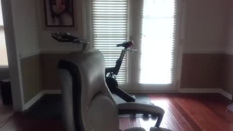 Han online show from February 8, 1:22 pm