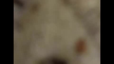 miolinasexycpl online show from December 1, 6:11 am