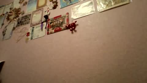 happyemily  online show from November 3, 8:10 pm