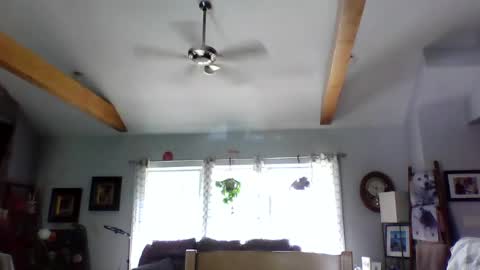 happynudist7373 online show from August 5, 1:30 pm