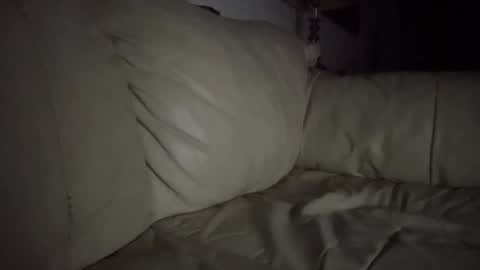 Slim West Cox online show from February 19, 7:28 am