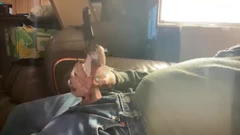 hardnhornyinhalifax online show from March 3, 5:31 pm