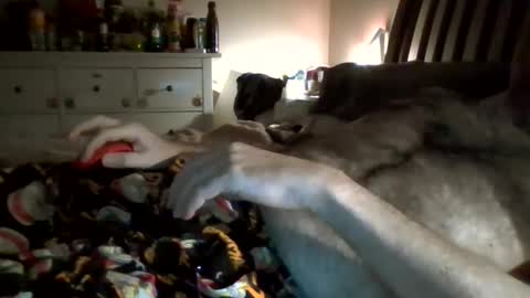 hardnick696 online show from February 13, 3:39 am