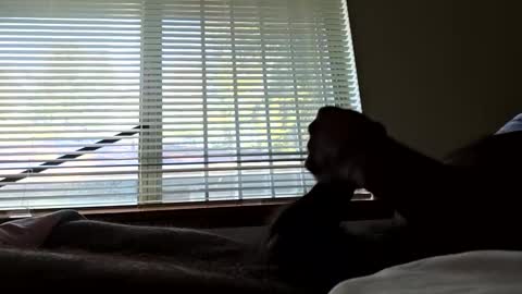 hardone00000 online show from November 30, 8:49 pm