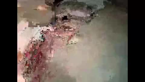 harleen848 online show from October 20, 1:49 pm