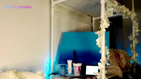 900 am to 300 pm - GTM 5 Weekdays online show from November 11, 7:21 am