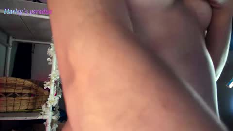 900 am to 300 pm - GTM 5 Weekdays online show from December 17, 9:16 am